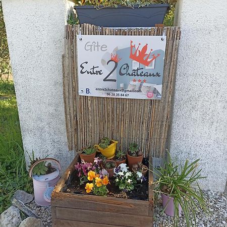 Entre 2 Chateaux Onzain Buitenkant foto