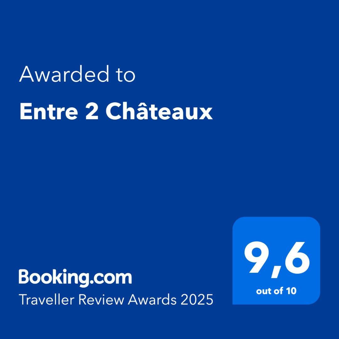 Entre 2 Chateaux Onzain Buitenkant foto